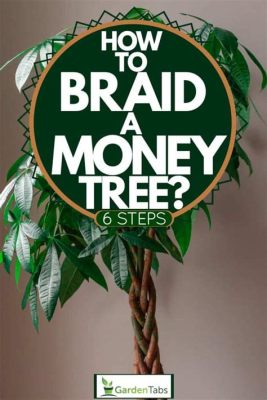 how to braid money tree: exploring the financial health of your business