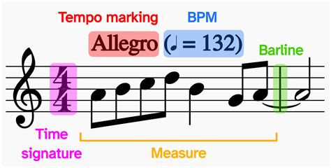 what is pizzicato in music and how does it influence the tempo of a piece?